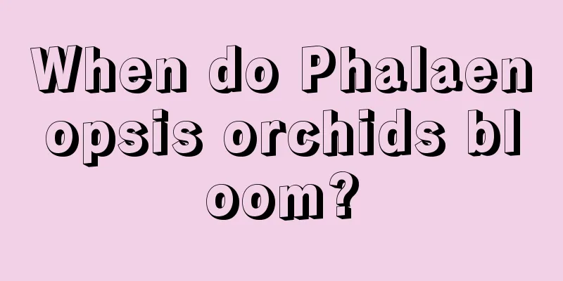 When do Phalaenopsis orchids bloom?