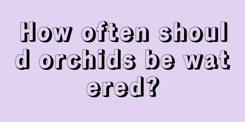 How often should orchids be watered?