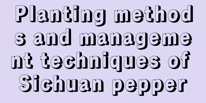 Planting methods and management techniques of Sichuan pepper