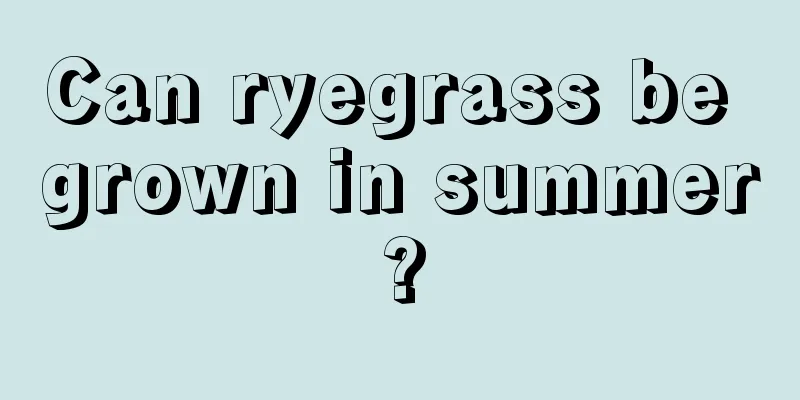 Can ryegrass be grown in summer?