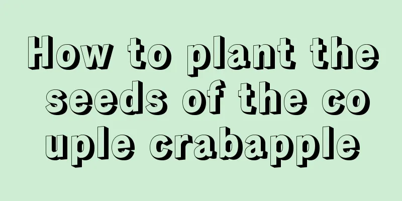 How to plant the seeds of the couple crabapple