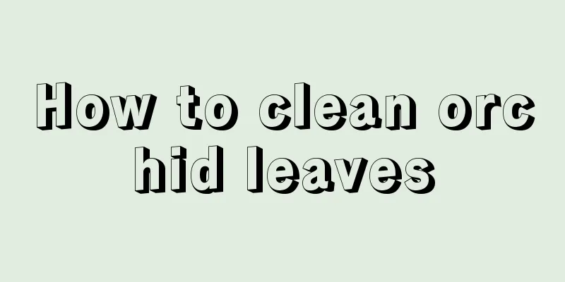 How to clean orchid leaves