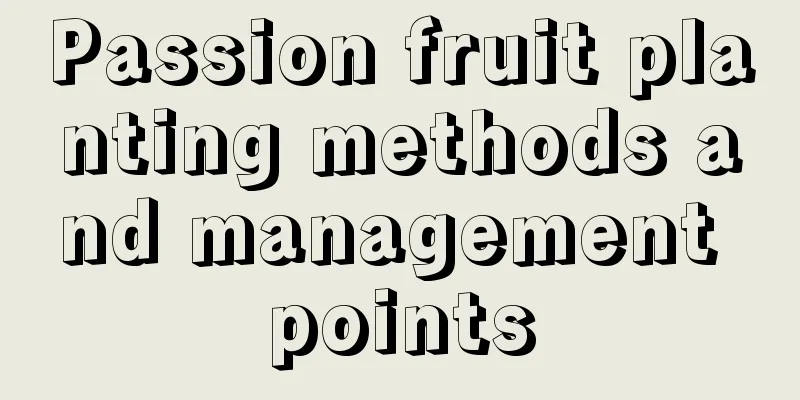 Passion fruit planting methods and management points