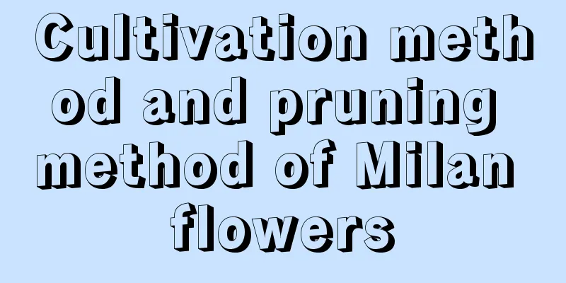 Cultivation method and pruning method of Milan flowers