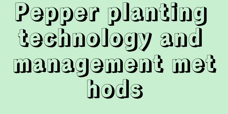 Pepper planting technology and management methods