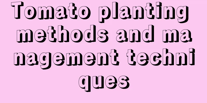 Tomato planting methods and management techniques