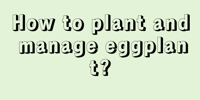 How to plant and manage eggplant?