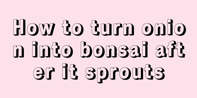 How to turn onion into bonsai after it sprouts