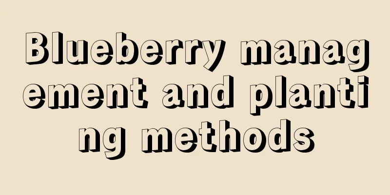 Blueberry management and planting methods