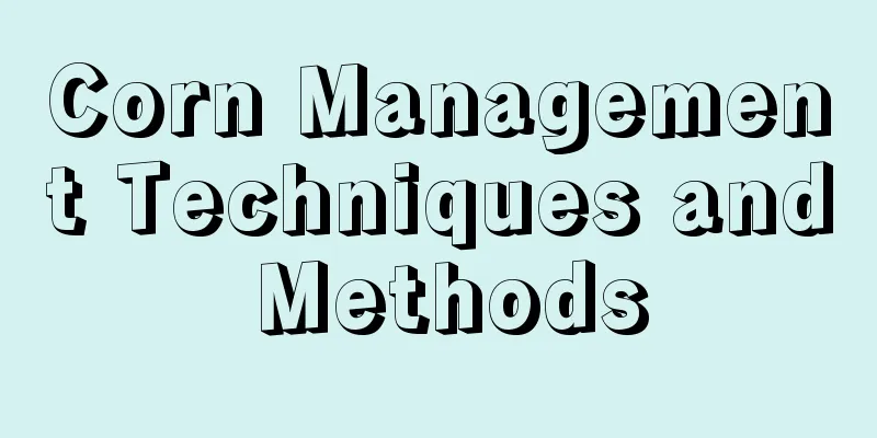 Corn Management Techniques and Methods