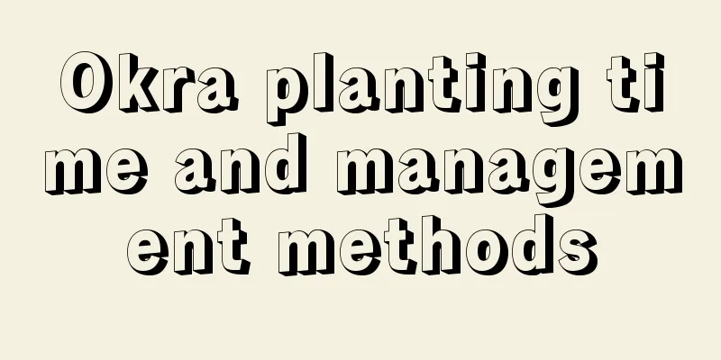 Okra planting time and management methods