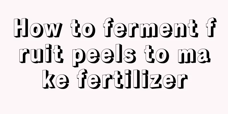 How to ferment fruit peels to make fertilizer