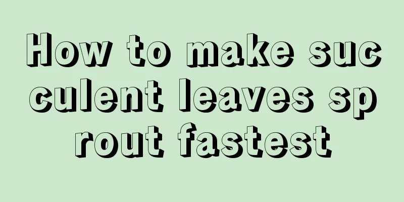 How to make succulent leaves sprout fastest