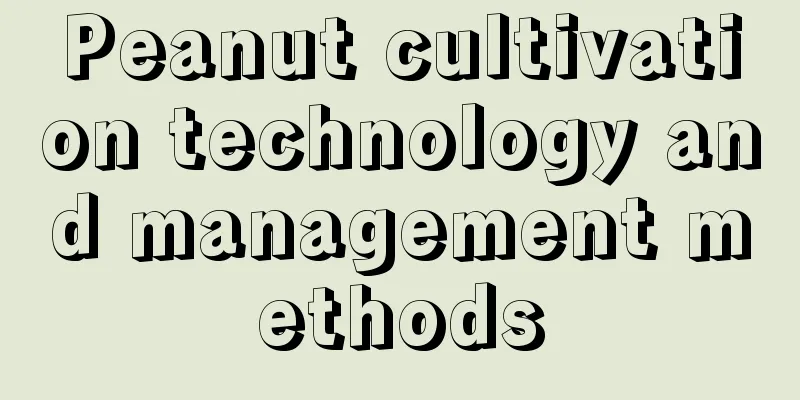 Peanut cultivation technology and management methods