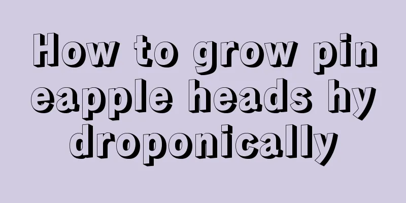 How to grow pineapple heads hydroponically