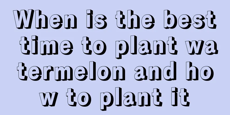 When is the best time to plant watermelon and how to plant it