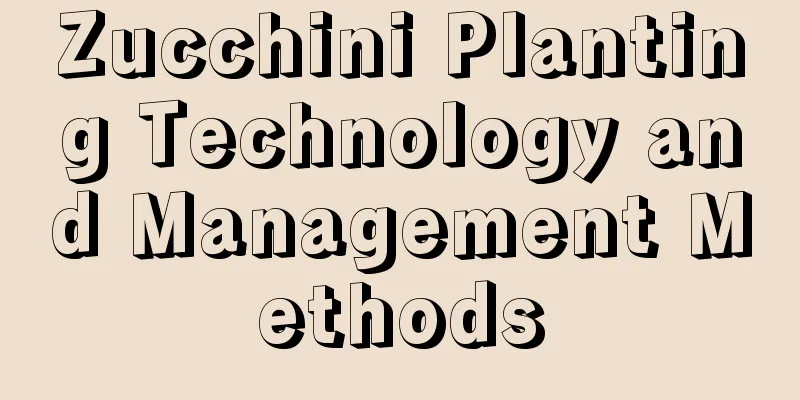 Zucchini Planting Technology and Management Methods