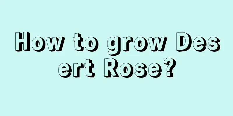 How to grow Desert Rose?