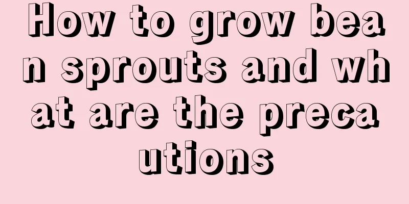 How to grow bean sprouts and what are the precautions