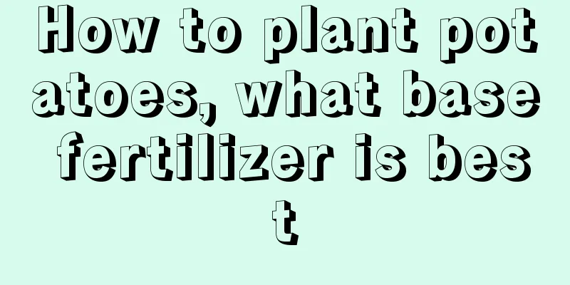 How to plant potatoes, what base fertilizer is best