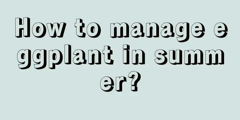 How to manage eggplant in summer?