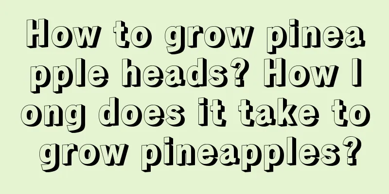 How to grow pineapple heads? How long does it take to grow pineapples?