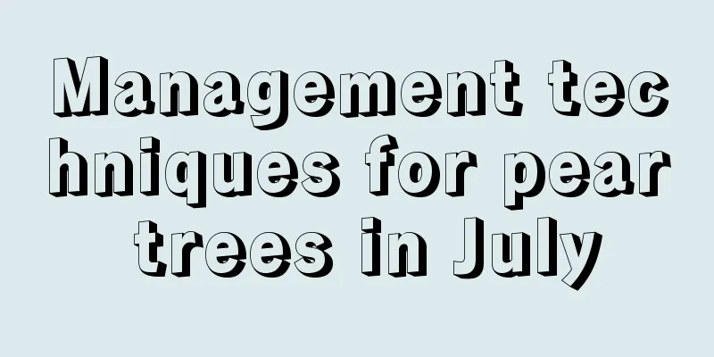 Management techniques for pear trees in July