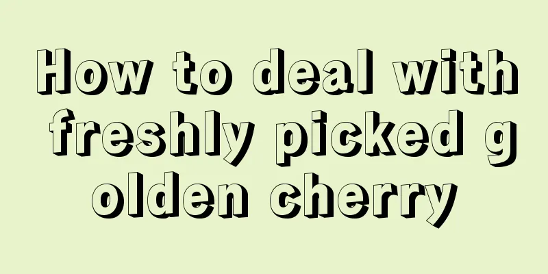 How to deal with freshly picked golden cherry