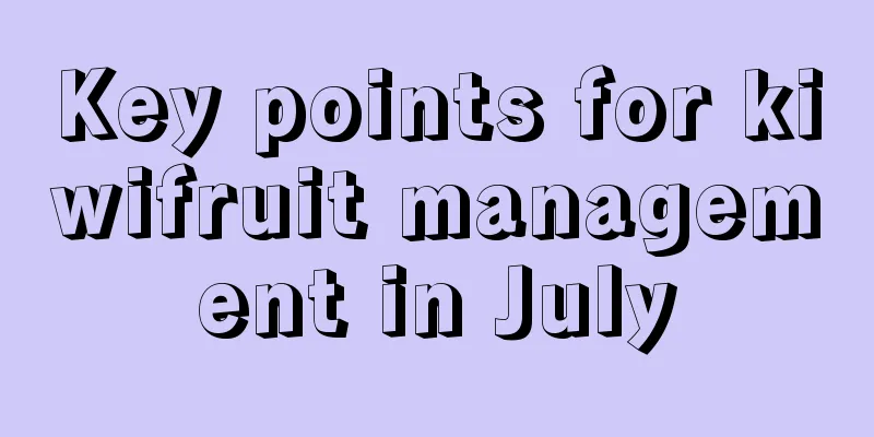 Key points for kiwifruit management in July