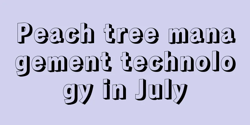 Peach tree management technology in July