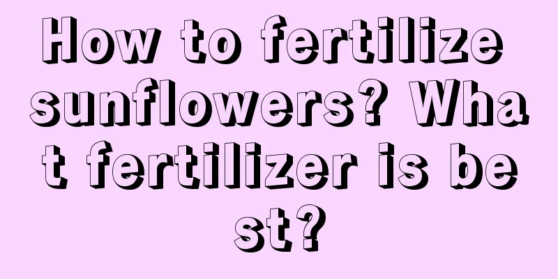 How to fertilize sunflowers? What fertilizer is best?