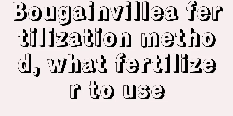 Bougainvillea fertilization method, what fertilizer to use