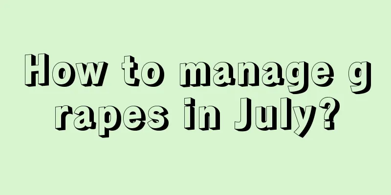 How to manage grapes in July?