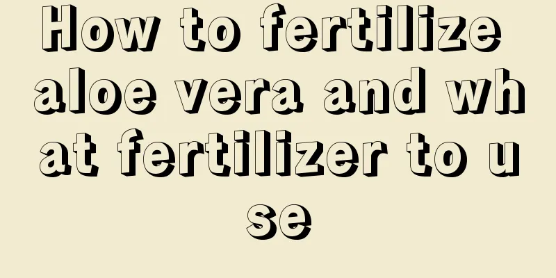 How to fertilize aloe vera and what fertilizer to use