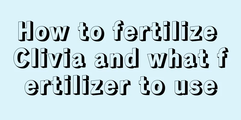 How to fertilize Clivia and what fertilizer to use