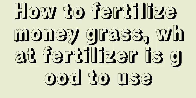 How to fertilize money grass, what fertilizer is good to use