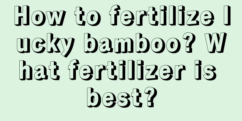 How to fertilize lucky bamboo? What fertilizer is best?