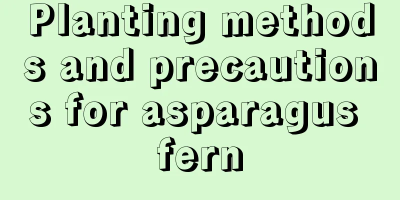 Planting methods and precautions for asparagus fern