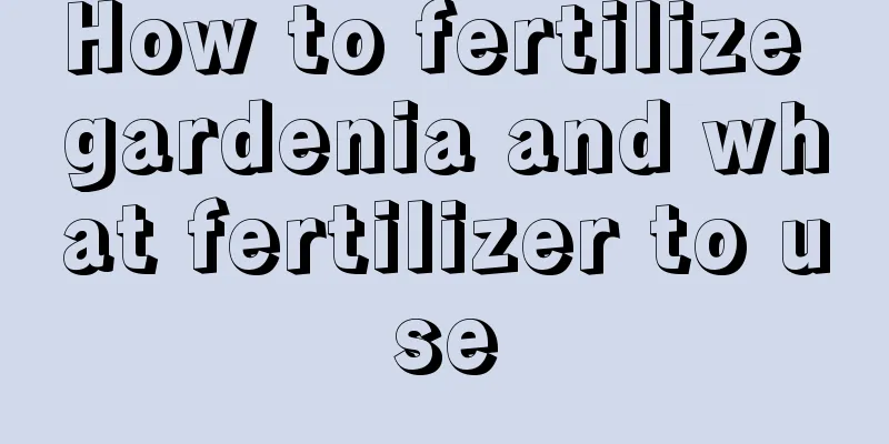 How to fertilize gardenia and what fertilizer to use