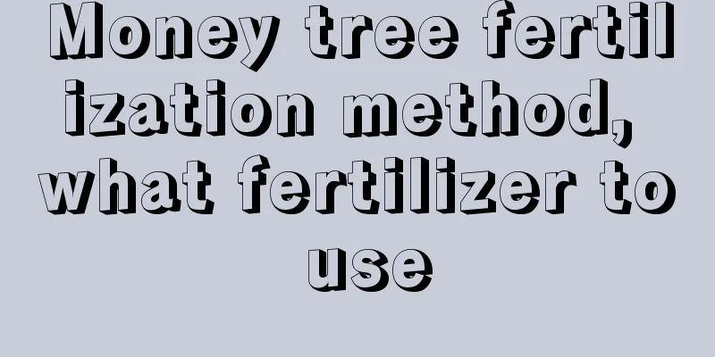 Money tree fertilization method, what fertilizer to use