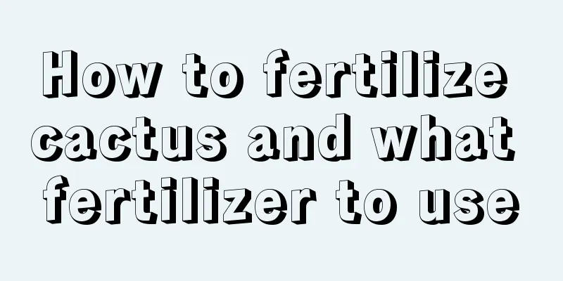 How to fertilize cactus and what fertilizer to use