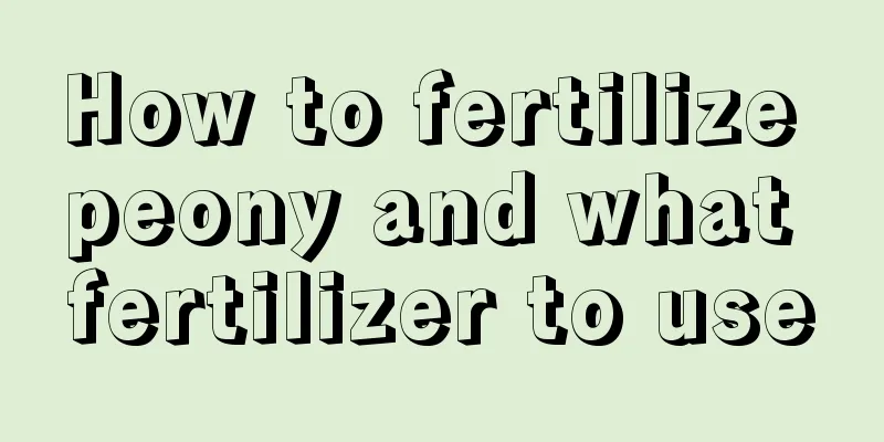 How to fertilize peony and what fertilizer to use