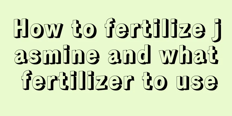 How to fertilize jasmine and what fertilizer to use