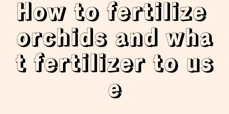 How to fertilize orchids and what fertilizer to use