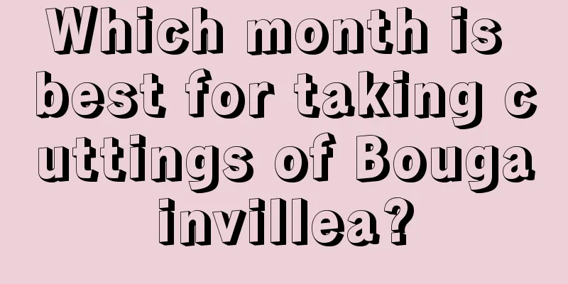 Which month is best for taking cuttings of Bougainvillea?