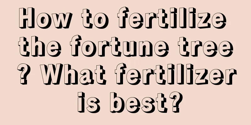 How to fertilize the fortune tree? What fertilizer is best?