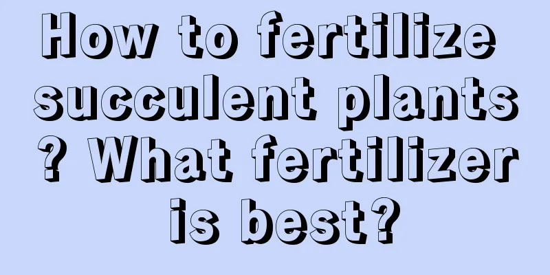 How to fertilize succulent plants? What fertilizer is best?