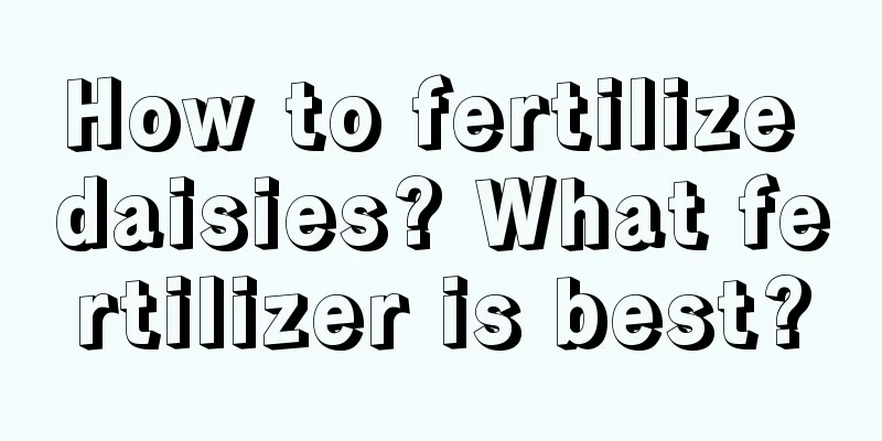 How to fertilize daisies? What fertilizer is best?