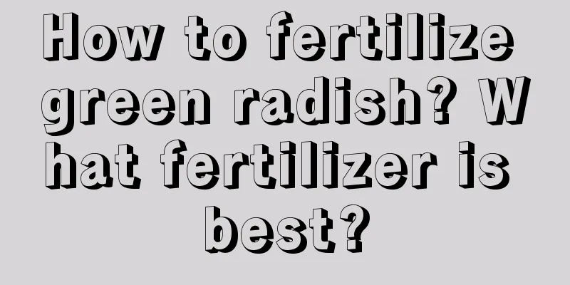 How to fertilize green radish? What fertilizer is best?