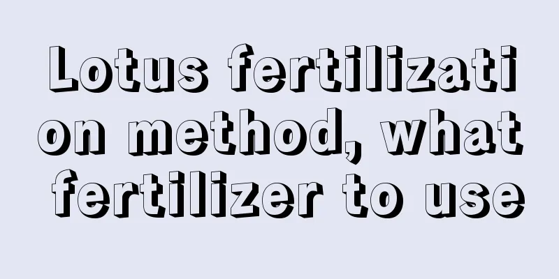 Lotus fertilization method, what fertilizer to use